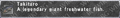 Thumbnail for version as of 23:29, 29 August 2026