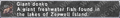 Thumbnail for version as of 22:38, 29 August 2026
