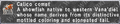 Thumbnail for version as of 22:13, 29 August 2026