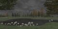Thumbnail for version as of 22:11, 29 August 2026