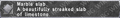 Thumbnail for version as of 22:38, 29 August 2026