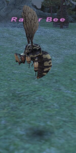 File:Raker Bee.jpg