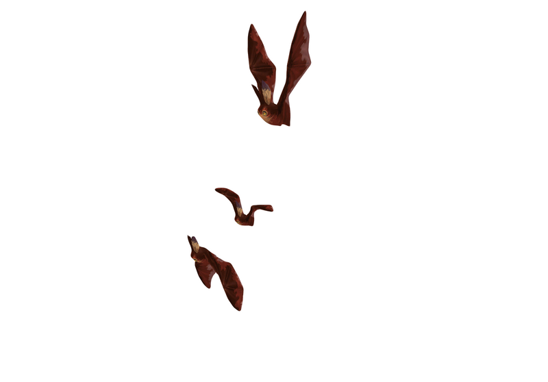File:Flock Bats 2.png