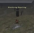 Thumbnail for version as of 22:24, 29 August 2026