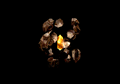 Thumbnail for version as of 00:01, 30 August 2026