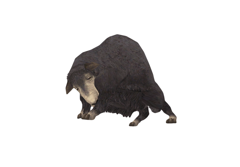 File:Sheep 2.png