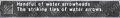 Thumbnail for version as of 21:28, 29 August 2026