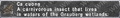 Thumbnail for version as of 23:20, 29 August 2026
