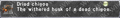Thumbnail for version as of 23:36, 29 August 2026