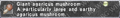 Thumbnail for version as of 22:44, 29 August 2026