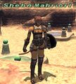 Thumbnail for version as of 22:57, 29 August 2026