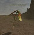 Thumbnail for version as of 23:46, 29 August 2026