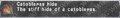 Thumbnail for version as of 21:53, 29 August 2026