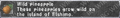 Thumbnail for version as of 23:50, 29 August 2026