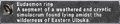 Thumbnail for version as of 22:20, 29 August 2026