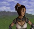 Thumbnail for version as of 21:56, 29 August 2026