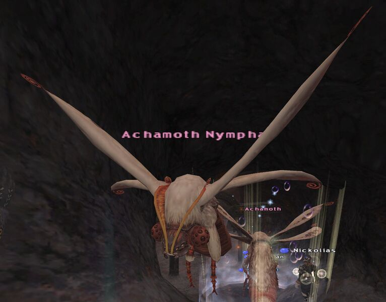 File:Achamoth Nympha.jpg