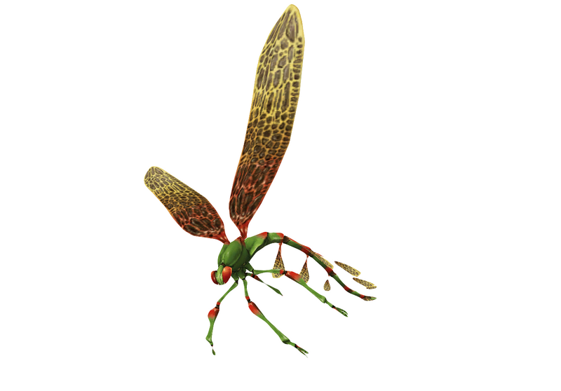 File:Fly 1.png