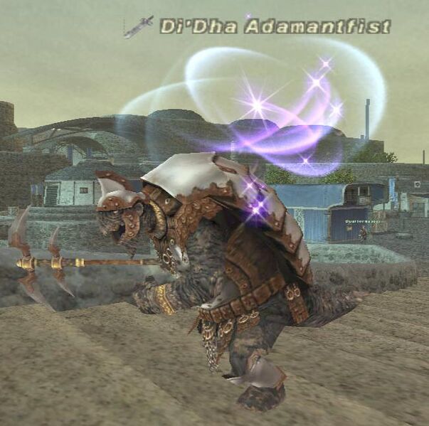File:Di'Dha Adamantfist.jpg