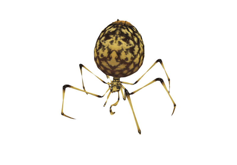 File:Spider 3.png