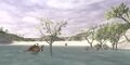 Thumbnail for version as of 22:06, 29 August 2026
