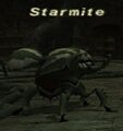 Thumbnail for version as of 21:03, 29 August 2026