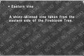 Thumbnail for version as of 21:12, 29 August 2026