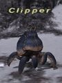 Thumbnail for version as of 22:45, 29 August 2026