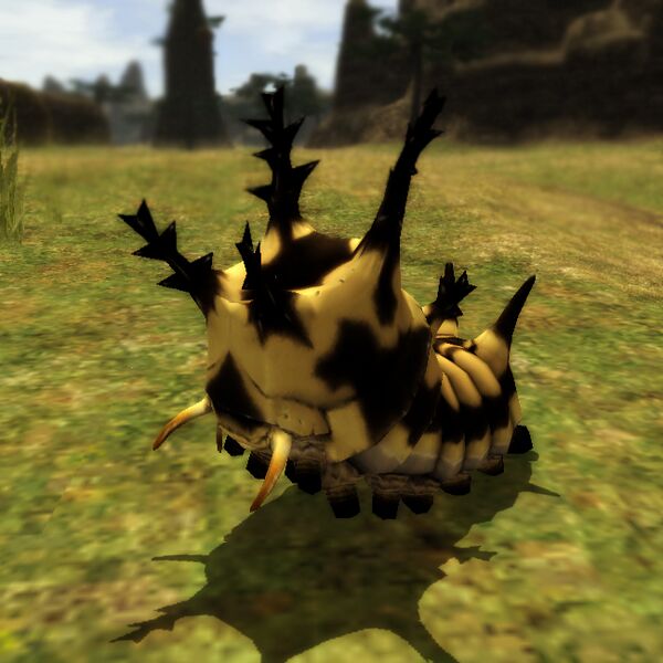File:Yellowcrawler.jpg