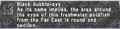 Thumbnail for version as of 23:43, 29 August 2026