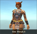 Thumbnail for version as of 21:03, 29 August 2026