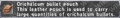 Thumbnail for version as of 22:49, 29 August 2026