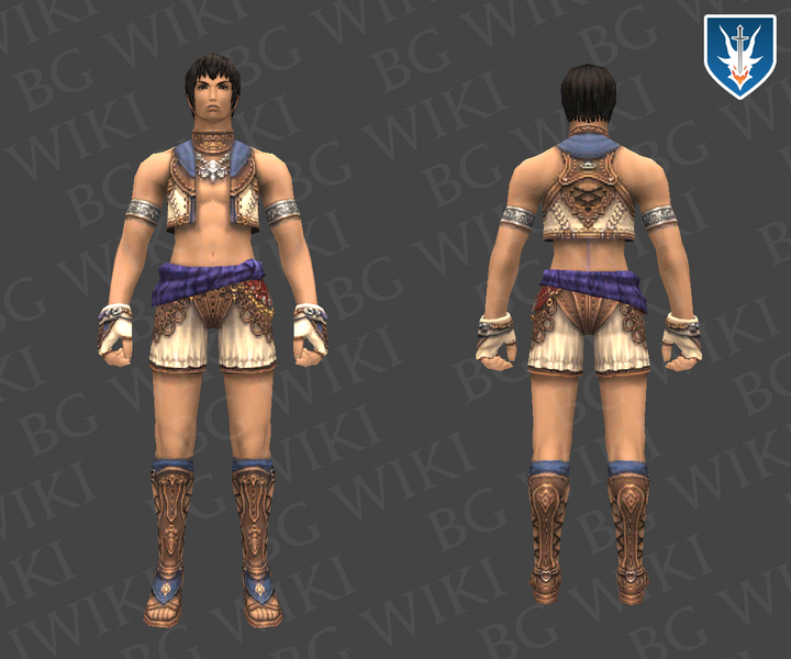File:Custom Set HM.png