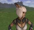 Thumbnail for version as of 21:54, 29 August 2026