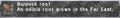 Thumbnail for version as of 21:44, 29 August 2026
