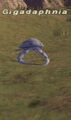 Thumbnail for version as of 22:04, 29 August 2026