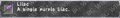 Thumbnail for version as of 21:55, 29 August 2026