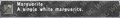 Thumbnail for version as of 22:08, 29 August 2026