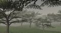 Thumbnail for version as of 22:43, 29 August 2026