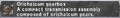 Thumbnail for version as of 23:54, 29 August 2026