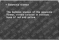 Thumbnail for version as of 21:21, 29 August 2026