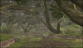 Thumbnail for version as of 21:50, 29 August 2026