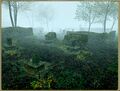 Thumbnail for version as of 21:20, 29 August 2026