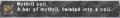 Thumbnail for version as of 22:23, 29 August 2026