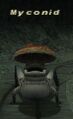 Thumbnail for version as of 23:40, 29 August 2026