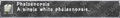 Thumbnail for version as of 23:49, 29 August 2026