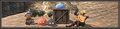 Thumbnail for version as of 22:56, 29 August 2026