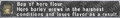 Thumbnail for version as of 22:38, 29 August 2026