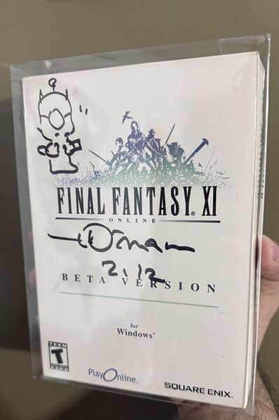File:FFXI NA Windows Beta.jpeg