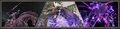 Thumbnail for version as of 23:08, 29 August 2026